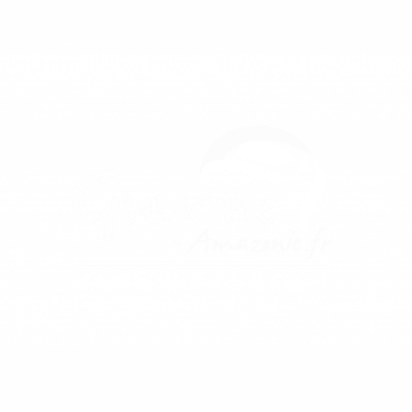 logo office de tourisme de Guyane